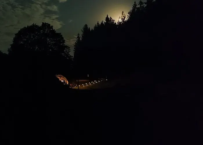 Forrest Glamp