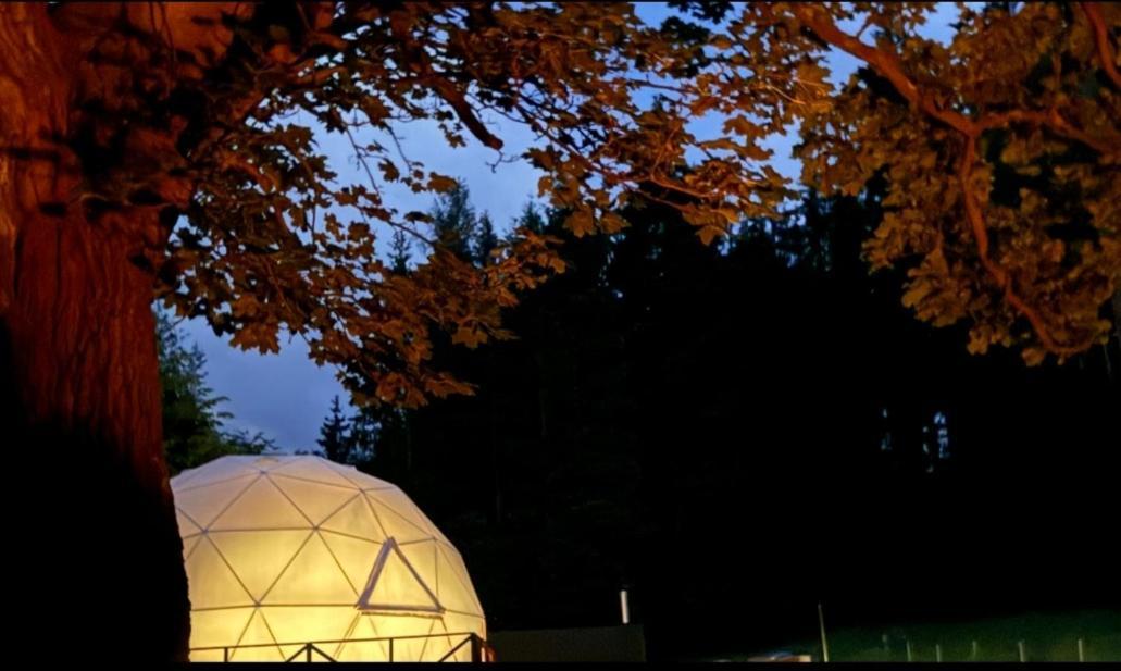 Luxuszelt Forrest Glamp Mieroszow