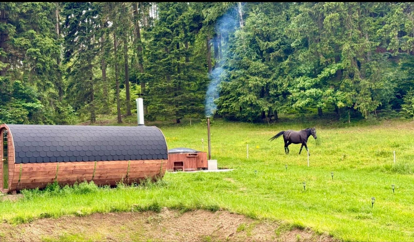 Luxuszelt Forrest Glamp *