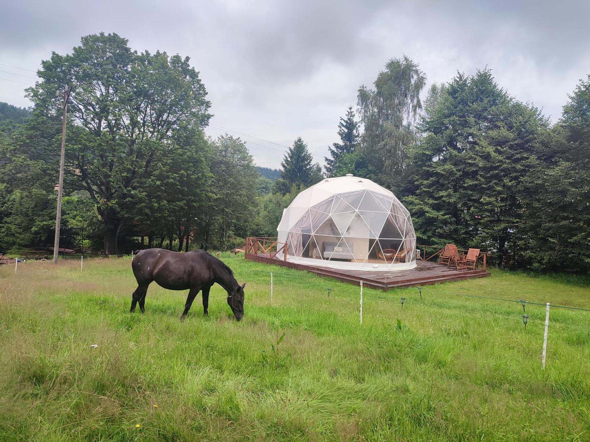 Luxuszelt Forrest Glamp *